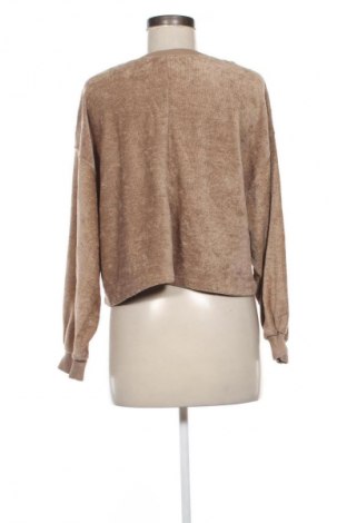 Damen Shirt Zara, Größe S, Farbe Braun, Preis € 5,99