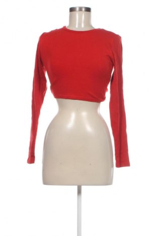 Damen Shirt Zara, Größe L, Farbe Rot, Preis 9,99 €