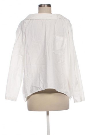 Damen Shirt Zara, Größe L, Farbe Weiß, Preis 13,80 €