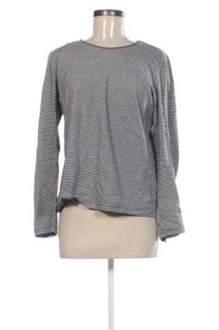 Γυναικεία μπλούζα Zara, Μέγεθος L, Χρώμα Πολύχρωμο, Τιμή 9,99 €