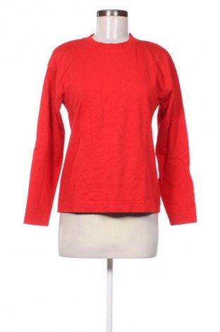 Damen Shirt Zara, Größe S, Farbe Rot, Preis € 13,81