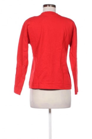 Damen Shirt Zara, Größe S, Farbe Rot, Preis € 13,81