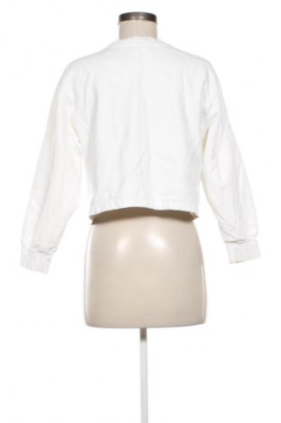 Damen Shirt Zara, Größe S, Farbe Mehrfarbig, Preis 13,81 €