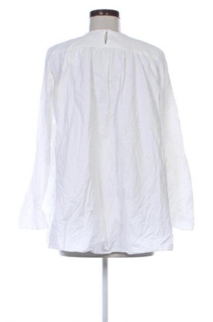 Γυναικεία μπλούζα Zara, Μέγεθος M, Χρώμα Λευκό, Τιμή 13,80 €