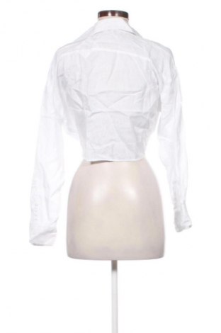 Damen Shirt Zara, Größe XS, Farbe Weiß, Preis € 13,80