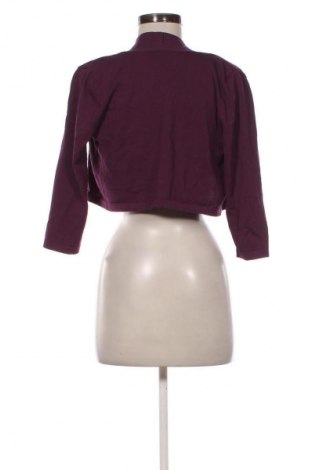 Damen Strickjacke Ann Taylor, Größe S, Farbe Mehrfarbig, Preis 31,71 €