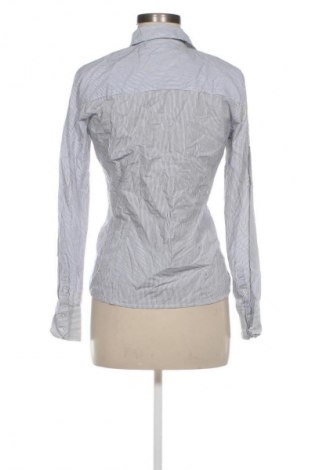 Damenbluse Blue Motion, Größe S, Farbe Mehrfarbig, Preis € 5,99