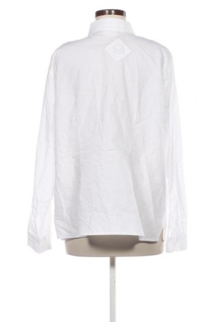 Damenbluse Bpc Bonprix Collection, Größe XL, Farbe Weiß, Preis 9,99 €