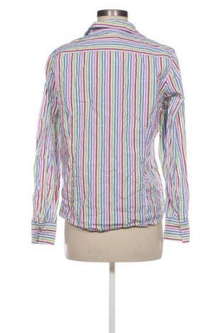 Damenbluse Brookshire, Größe XL, Farbe Mehrfarbig, Preis € 14,99