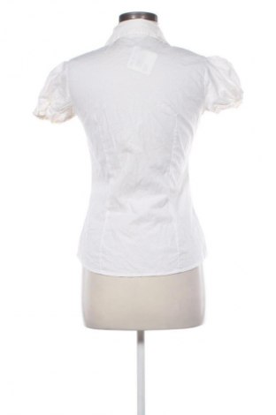 Γυναικείο πουκάμισο Calliope, Μέγεθος M, Χρώμα Εκρού, Τιμή 12,79 €