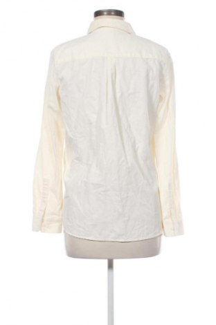 Damenbluse Christian Berg, Größe M, Farbe Gelb, Preis € 17,39