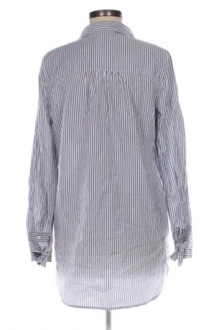 Damenbluse Clockhouse, Größe L, Farbe Mehrfarbig, Preis € 6,99