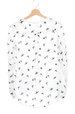 Damenbluse Colloseum, Größe XS, Farbe Mehrfarbig, Preis € 4,99