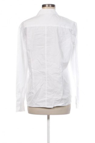 Damenbluse Eterna, Größe XL, Farbe Weiß, Preis € 18,99