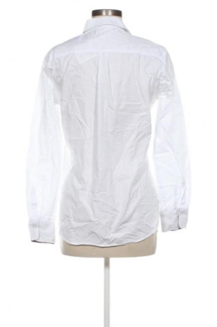 Damenbluse Eterna, Größe M, Farbe Weiß, Preis € 20,99