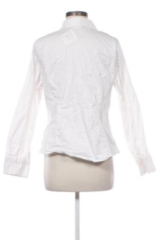 Damenbluse H&M, Größe L, Farbe Weiß, Preis 12,83 €