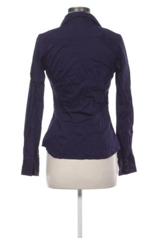 Damenbluse H&M, Größe S, Farbe Lila, Preis € 12,79