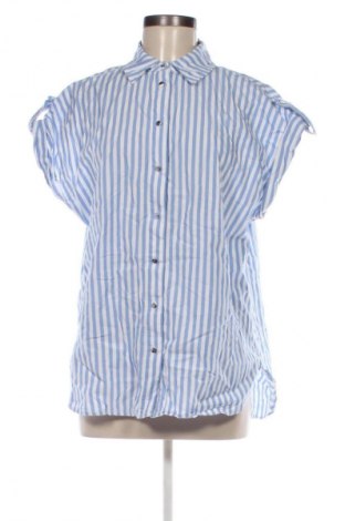 Damska koszula Laura Torelli, Rozmiar M, Kolor Kolorowy, Cena 33,99 zł