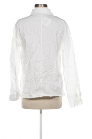 Damenbluse Marco Pecci, Größe XL, Farbe Weiß, Preis 10,99 €