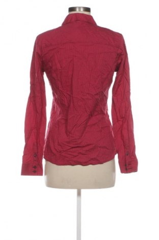 Cămașă de femei Mc Gregor, Mărime M, Culoare Multicolor, Preț 58,99 Lei