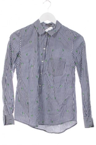 Damenbluse Montego, Größe XS, Farbe Mehrfarbig, Preis 12,79 €