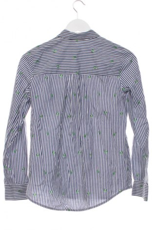 Damenbluse Montego, Größe XS, Farbe Mehrfarbig, Preis 12,79 €