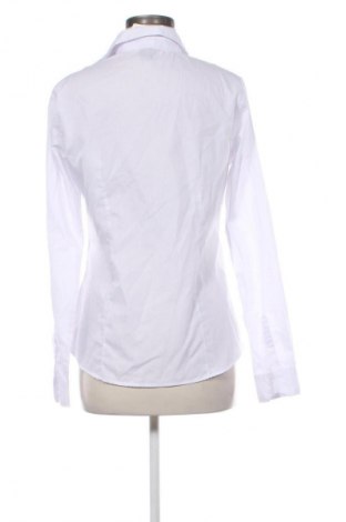 Damenbluse Piazza Italia, Größe M, Farbe Weiß, Preis € 7,99