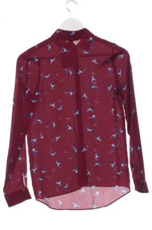 Damenbluse Primark, Größe XXS, Farbe Mehrfarbig, Preis 12,79 €