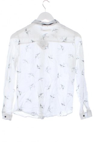 Damska koszula Reserved, Rozmiar XS, Kolor Kolorowy, Cena 58,43 zł