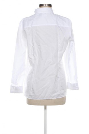 Damenbluse Seidensticker, Größe L, Farbe Weiß, Preis € 47,99