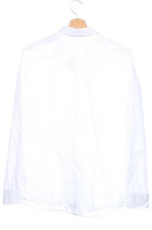 Damenbluse Seidensticker, Größe XL, Farbe Weiß, Preis € 31,99