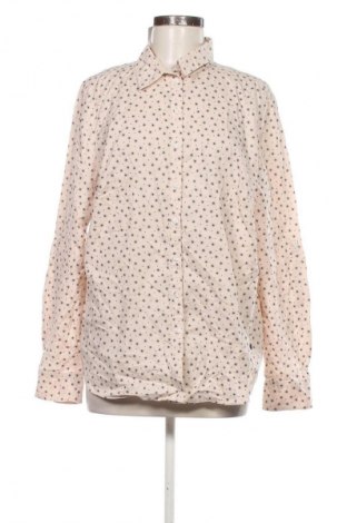 Dámska košeľa  Taifun, Veľkosť XL, Farba Viacfarebná, Cena  19,95 €