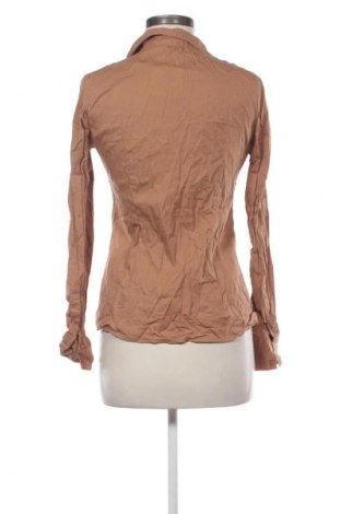 Dámska košeľa  Terranova, Veľkosť L, Farba Béžová, Cena  12,79 €