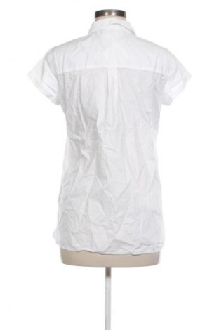 Damenbluse Tommy Hilfiger, Größe M, Farbe Mehrfarbig, Preis € 41,94