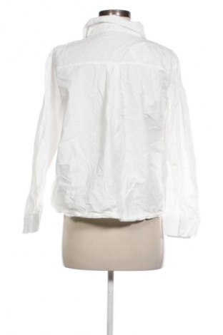 Γυναικείο πουκάμισο Unbranded, Μέγεθος XL, Χρώμα Πολύχρωμο, Τιμή 12,79 €