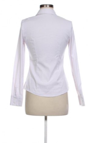 Dámska košeľa  Unbranded, Veľkosť S, Farba Fialová, Cena  12,79 €