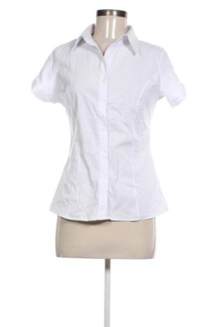 Damenbluse Uz-Sa, Größe L, Farbe Weiß, Preis € 12,79