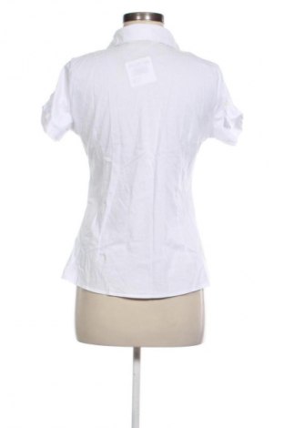 Damenbluse Uz-Sa, Größe L, Farbe Weiß, Preis € 12,79