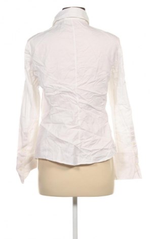 Damska koszula WINDSOR., Rozmiar S, Kolor ecru, Cena 69,99 zł