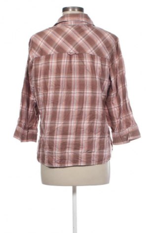 Damenbluse X-Mail, Größe XXL, Farbe Mehrfarbig, Preis € 5,99