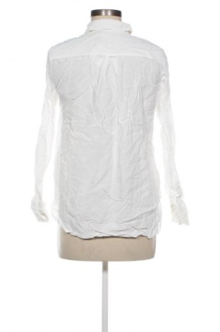 Damenbluse Zara, Größe S, Farbe Weiß, Preis 12,99 €