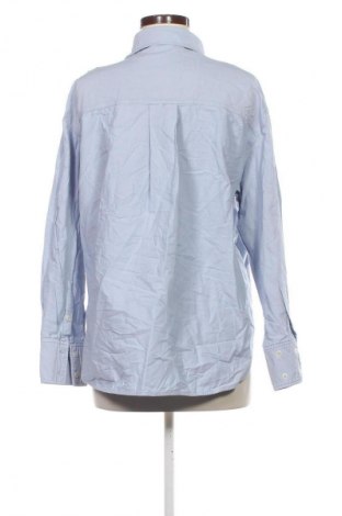 Damenbluse Zara, Größe L, Farbe Blau, Preis € 14,99