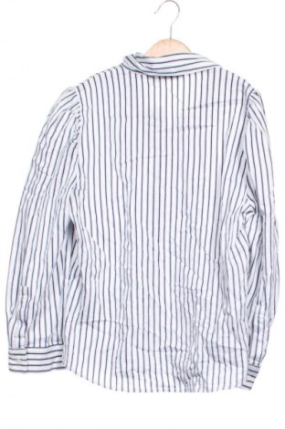 Damenbluse Zara, Größe XS, Farbe Mehrfarbig, Preis 10,99 €