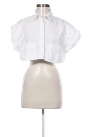 Damenbluse Zara, Größe S, Farbe Weiß, Preis € 13,81