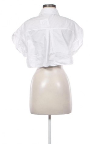 Damenbluse Zara, Größe S, Farbe Weiß, Preis € 13,81