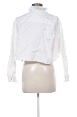 Damenbluse Zara, Größe M, Farbe Weiß, Preis 13,82 €