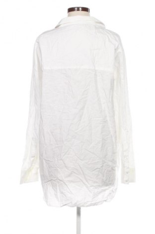 Damenbluse Zara Trafaluc, Größe L, Farbe Weiß, Preis 11,99 €