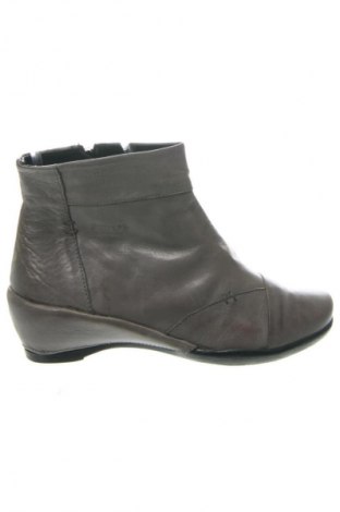 Damen Stiefeletten Aeros, Größe 37, Farbe Grau, Preis € 63,17