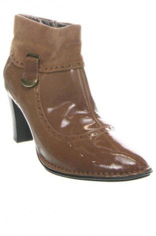 Damen Stiefeletten Scholl, Größe 42, Farbe Braun, Preis 87,98 €