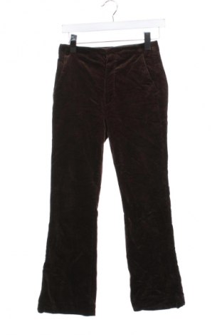 Damen Cordhose Massimo Dutti, Größe XS, Farbe Braun, Preis € 16,99